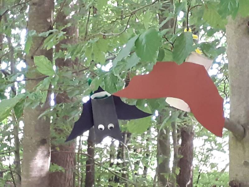 Bild: Die „Fledermäuse“ fanden in den nahen Bäumen Unterschlupf